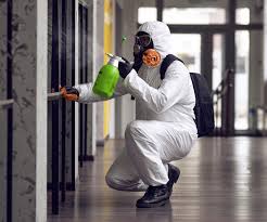 Why You Should Choose Our Mold Remediation Services in Teviston, CA